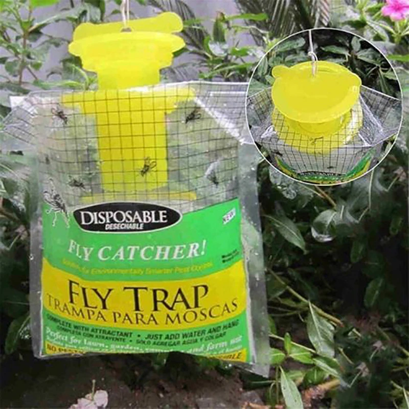 where to buy fly traps