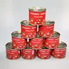 Canned Tomato paste