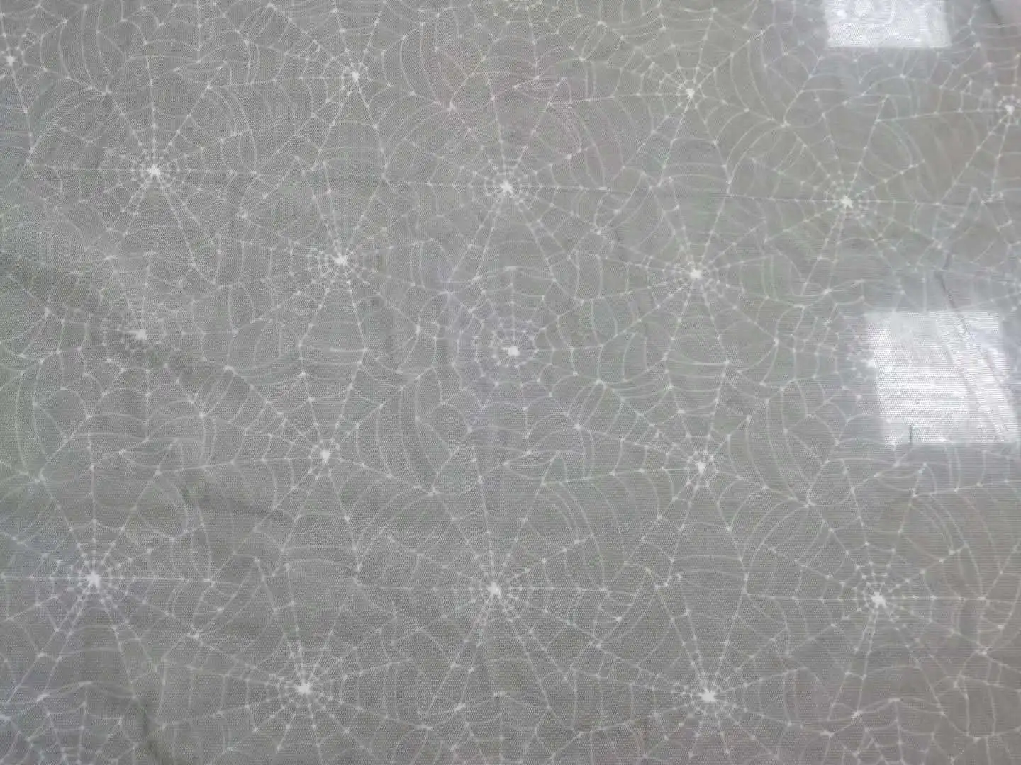 426901946093869316.jpg
