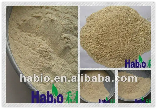 Xylanase Powder/liquid For Industrial Additive/agent/chemical - Buy
