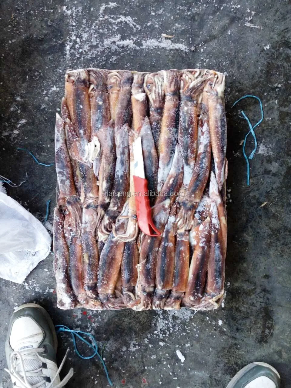 Frozen Illex Squid As Live Bait For Tuna Fishing - Buy Live Bait For