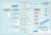 GMP Quality Management System - Policy Statement