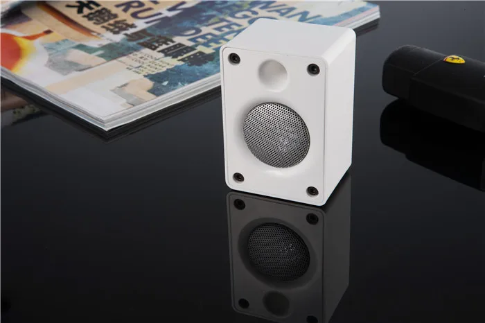 speaker (10).JPG