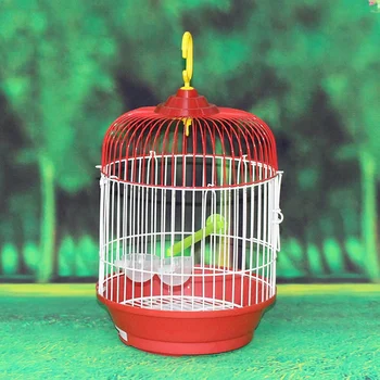 little bird cages