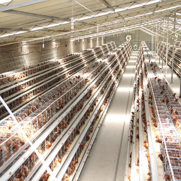 Commercial Chicken House commercial chicken house pictures - house interior Commercial Chicken House commercial chicken house pictures - house interior