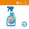 liquid glass cleaner has both hydrophilic and oleophilic non-polar groups in its molecule