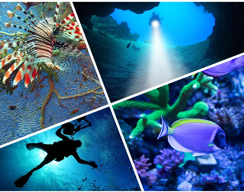 2018 new professional underwater photography L2 fill light LED diving flashlight