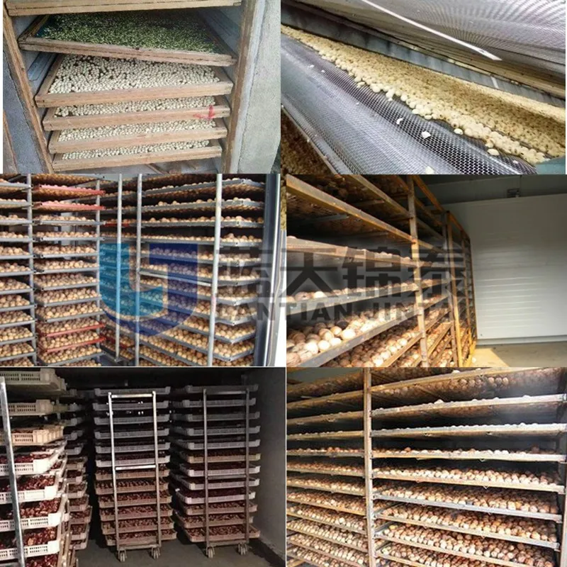 Automatic Macadamia Nut Drying Machine Pine Nut Drying Lotus Seed Dryer