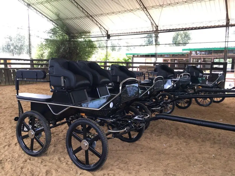 Stainless Steel Outside,Marathon Carriage For Sale,Horse Cart Factory