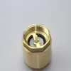 brass vertical check valve