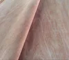 ISO paper thin wood veneer made in China