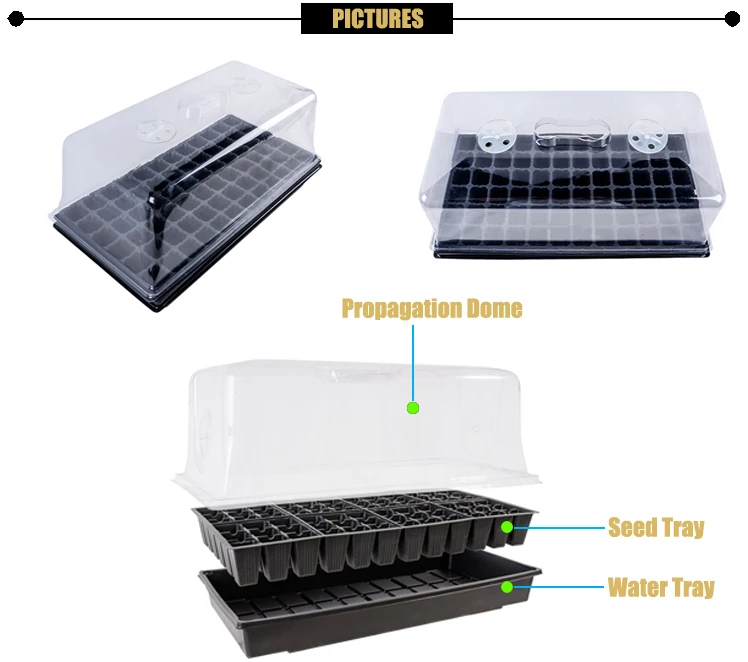 Guaranteed Quality Hydroponic Seed Germination Box Seedling Tray Buy