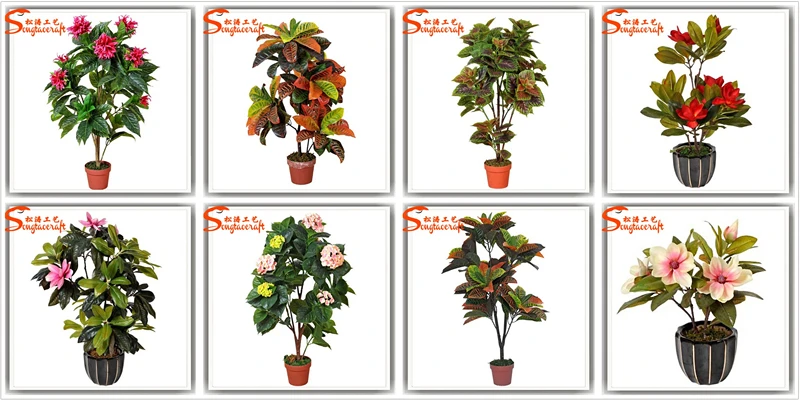 Indoor Plants Flowers With Pot For Sale Buy Plant Flower Pots Plastic Flower Plant Pot Plant Flower Names Product On Alibaba Com