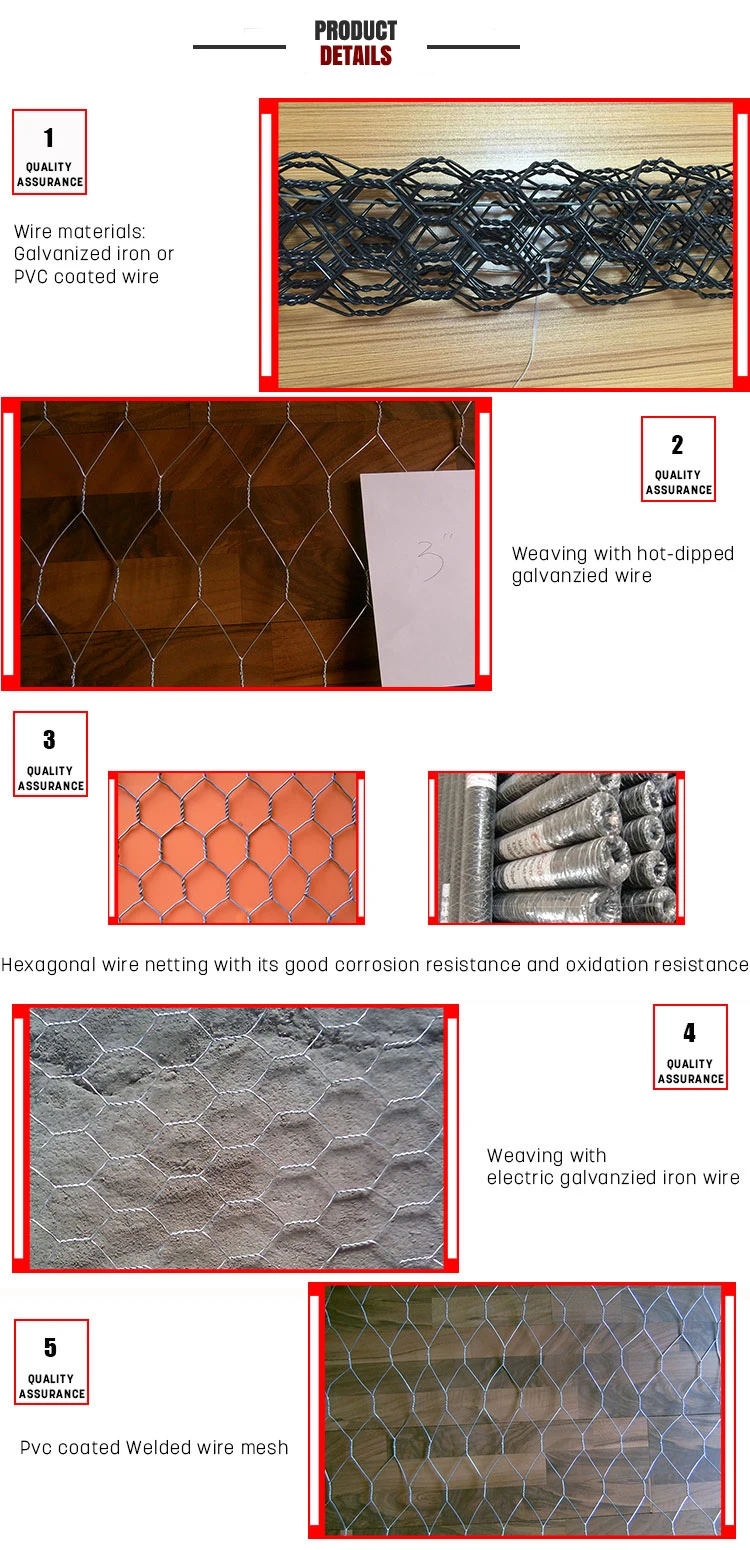 PRODUCT-DETAIL2.jpg