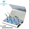 ESKS Dealer Price Professional Dental Scaler Tips Kit