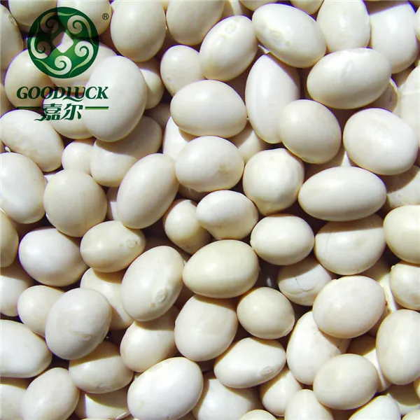 small navy  white kidney  beans kyrgyzstan for sale market price