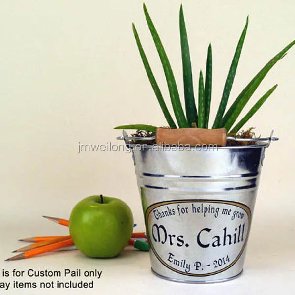 Bucket planter.jpg
