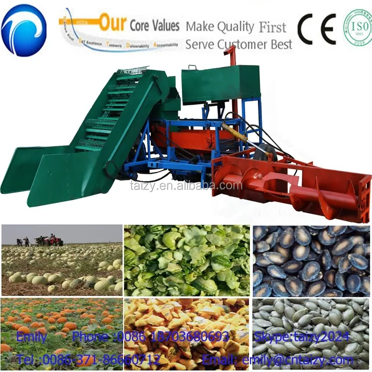 Large Capacity Full Automatic Watermelon Pumpkin Harvesting Machine