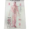 Acupuncture charts ( 3 posters/set in English )