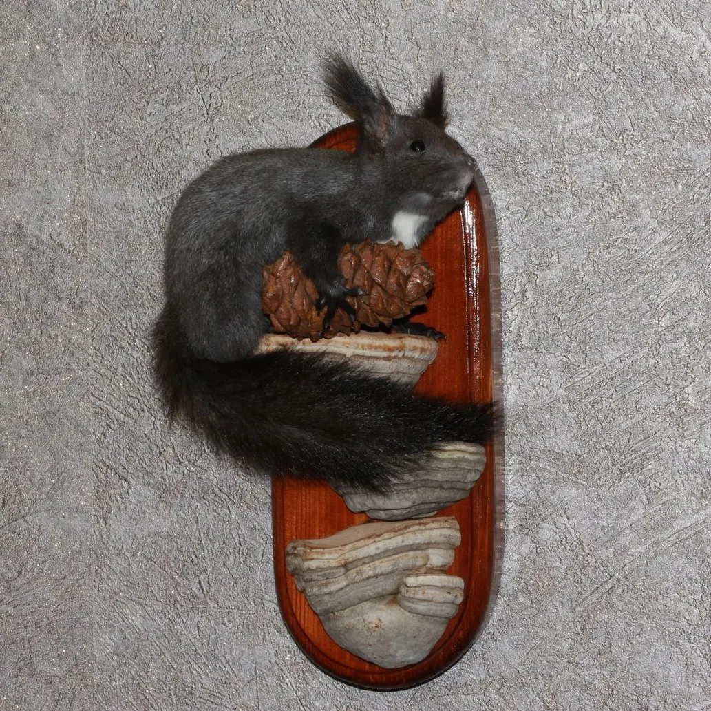 gray squirrel stuffed animal