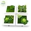 2019 Hottest Product Modern Home Wedding Accessories Numerous Varieties Wall Picture Photo Beautiful Frame