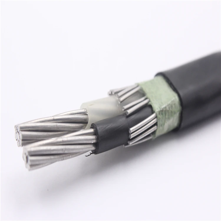 Aa 8000 Aluminum Alloy Conductor Xlpe/pvc Concentric Cable 2x6+6awg,2x4 ...