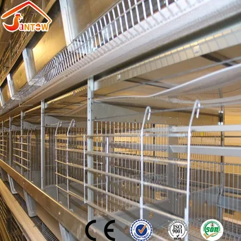 Stable Steel Structure Professional Chicken Egg Layer Cage Large