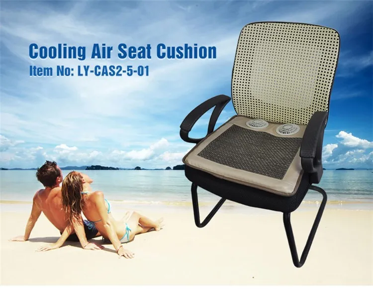 Cas2501 Office Chair Cooling Pad With Fan For Summer Buy Office