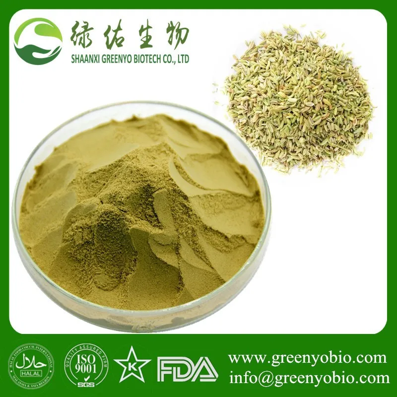 Fennel Seed Powder Foeniculum Vulgare Extract 5:1 10:1 20:1 - Buy