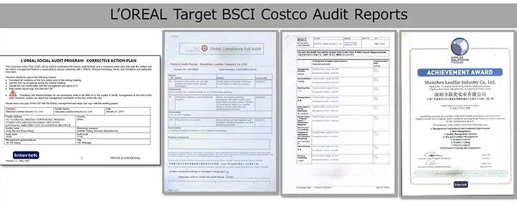audit reports750