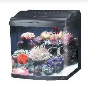 jbj aquarium wholesale aquarium