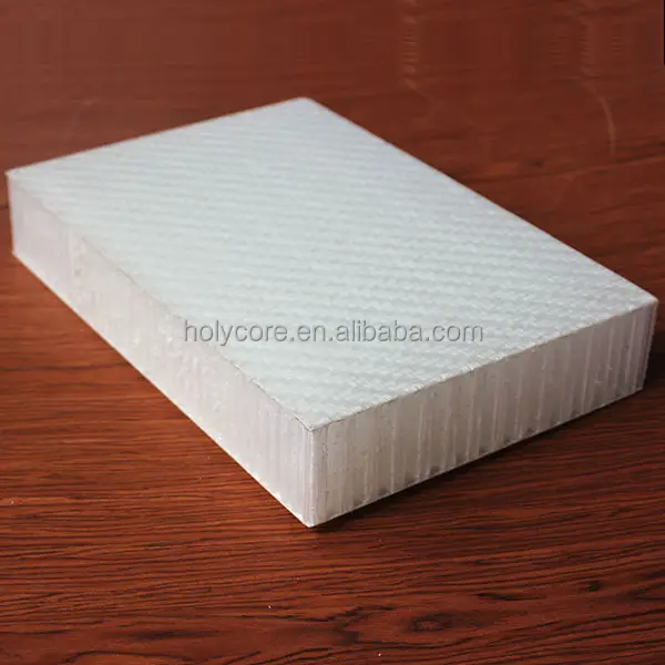 Lightweight Plastic Polypropylene Honeycomb Hard Sandwich Board Holypan
