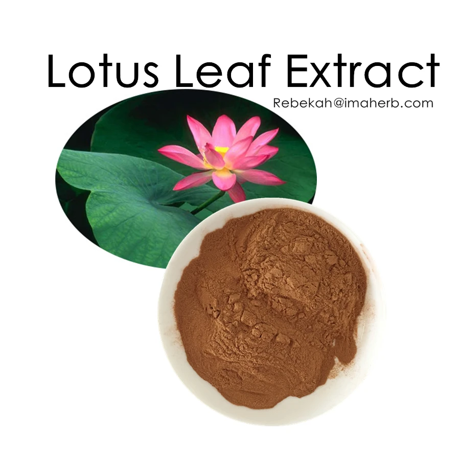 Natural Weight Loss Function High Purity Lotus Leaf Extract Nuciferine