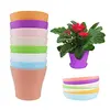 Colorful Organic biodegradable Custom Eco-friendly safe reusable Environment bamboo fiber flower pot with flower seed plant pot