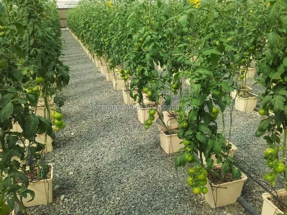 feedback pictures (2).jpg