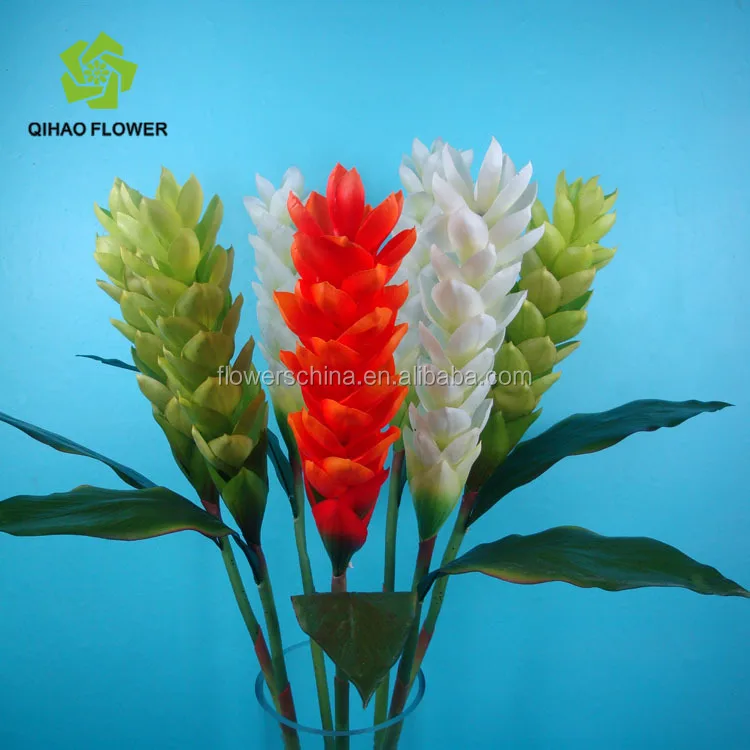 Membuat Foto Di Luar Ruangan Bunga Plastik Buatan Alpinia Untuk Membuat Foto Di Luar Ruangan Bunga Plastik Buatan Alpinia Untuk Dekorasi Ruang Tamu