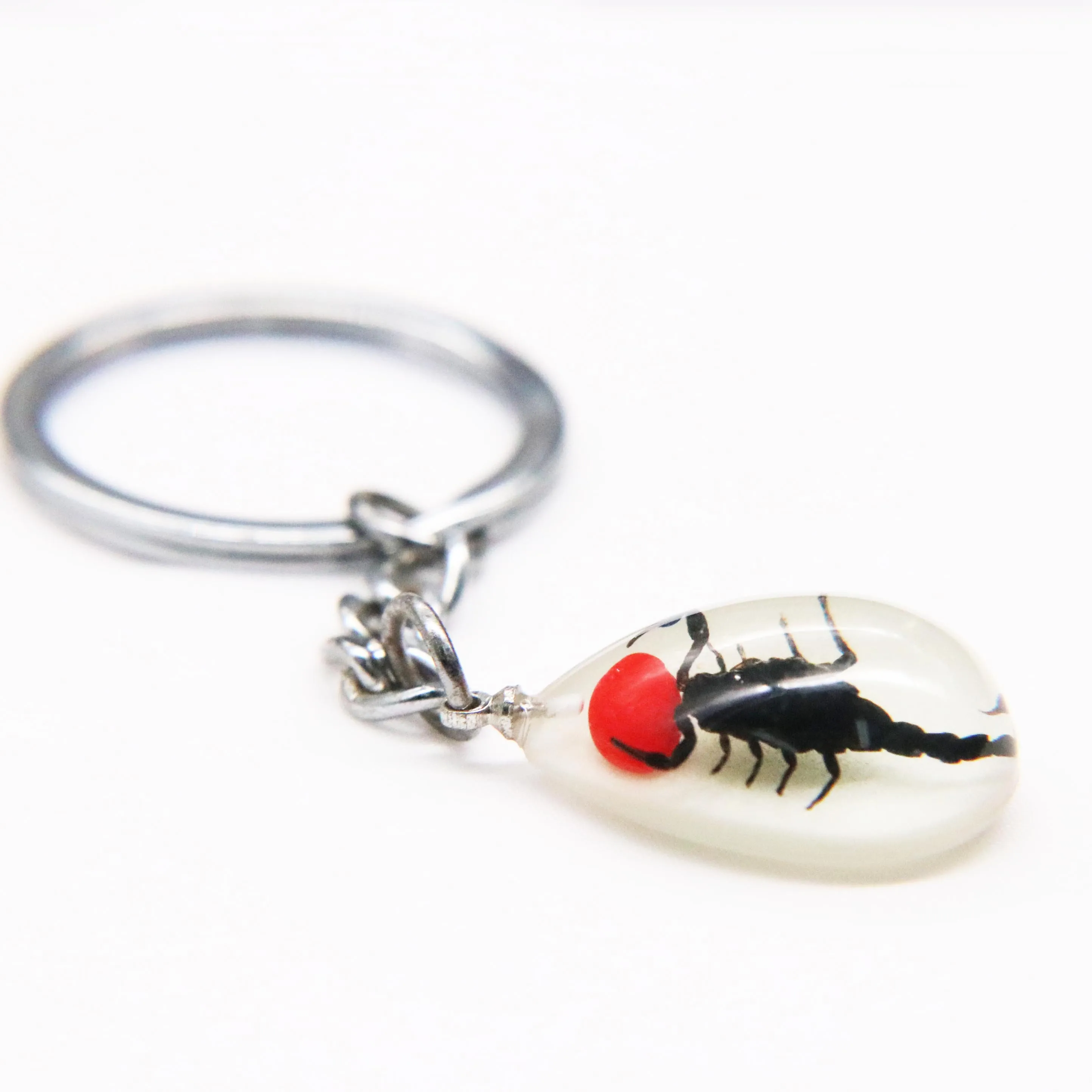Real Scorpion Epoxy Resin Key Ring Amber Glow In Dark Key Chains