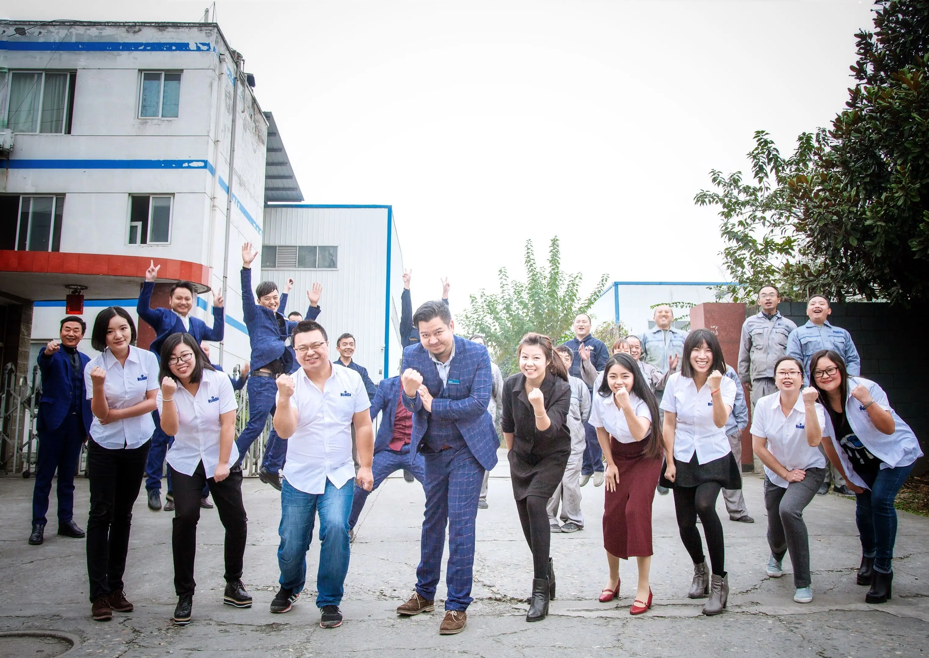 Decorative Solid Polyester TGIC Flat Black Matt Powder Coating for Outdoor Furniture manufacture