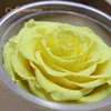 Real fresh flower for Preserved Rose use in wedding Decoration or creative gift