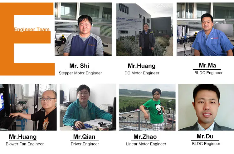 high torque dc brushless motor 48v