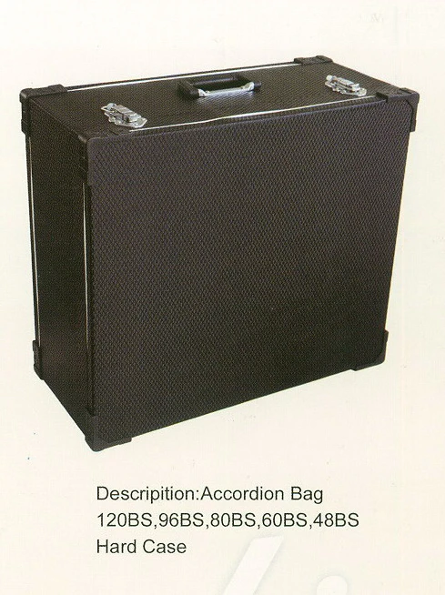 accordion hard case.JPG