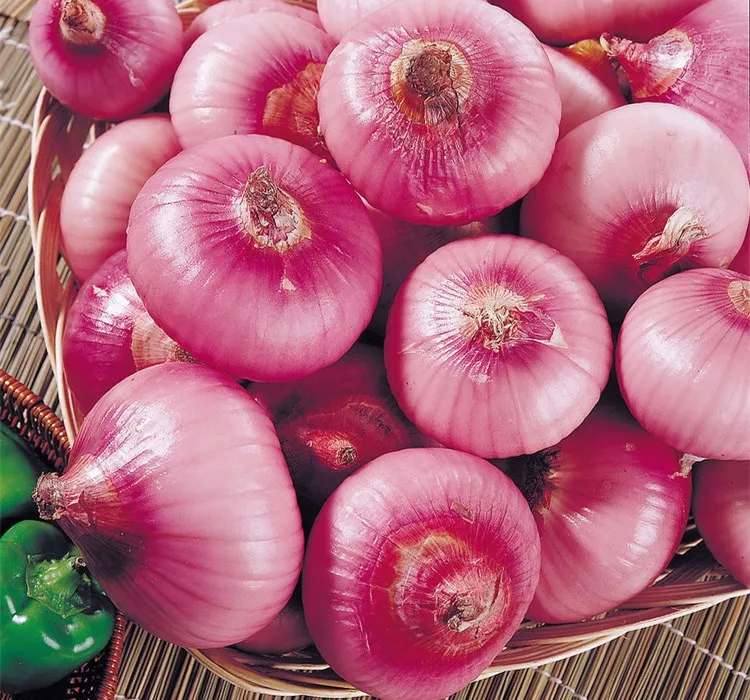 Medicine Grader Red Onion Extract From Seed Buy Onion Extract,Etuber Onion Seed Extract,Tuber