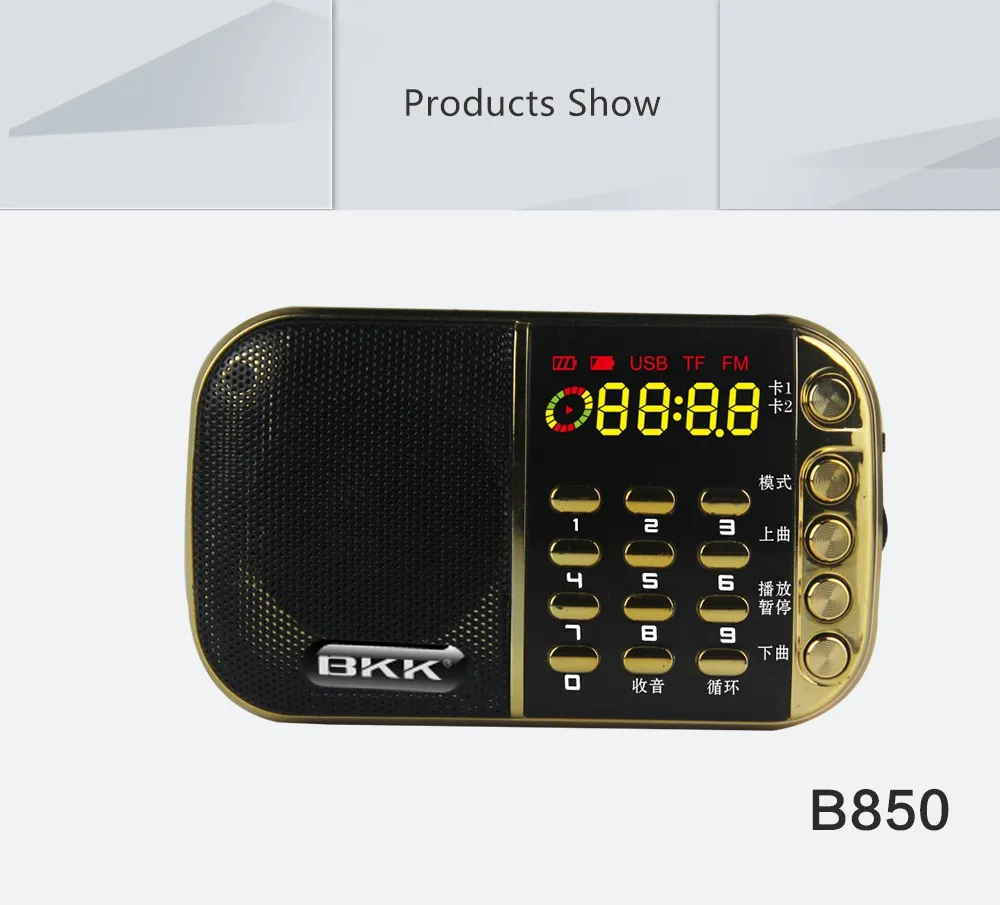 mp3 player with external speaker