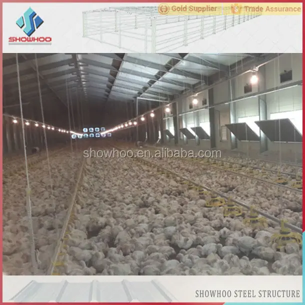 Commercial Chicken House showhoo design steel structure material commercial chicken house Commercial Chicken House showhoo design steel structure material commercial chicken house