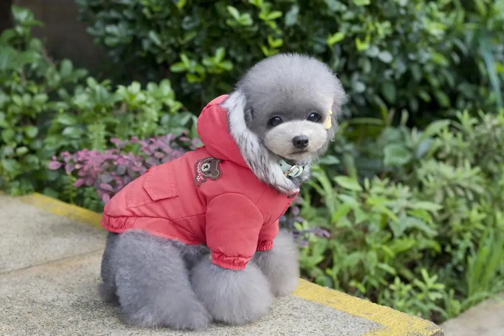 Leisure Soft Warm Pet Coat With Hood