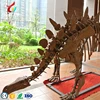 High Quantity Animal Skeletons Fossil In Big Discount