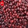 New Crop IQF Fruit Frozen Sour Cherry for Wholesale