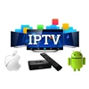 Wholesale IPTV Subscription 1 Year of USA Arabic India Europe M3U Channels List for Best 4K Android Mag250 254 IPTV Set Top Box