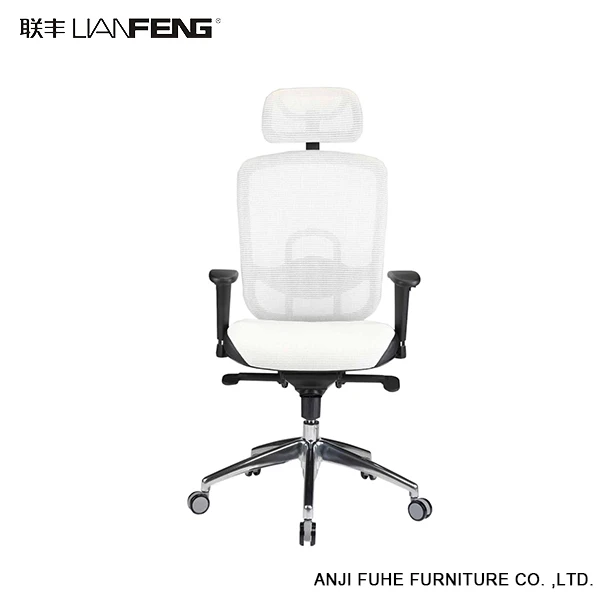Zenith Ergonomic High Back Mesh Office Chair With Adjustable