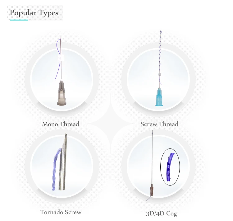 Popular-Types.jpg